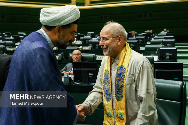 حضور خادمان حرم حضرت عبدالعظیم حسنی(ع) در صحن علنی مجلس