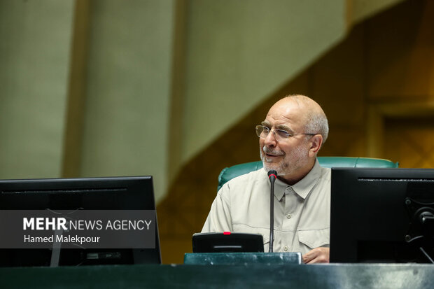 حضور خادمان حرم حضرت عبدالعظیم حسنی(ع) در صحن علنی مجلس