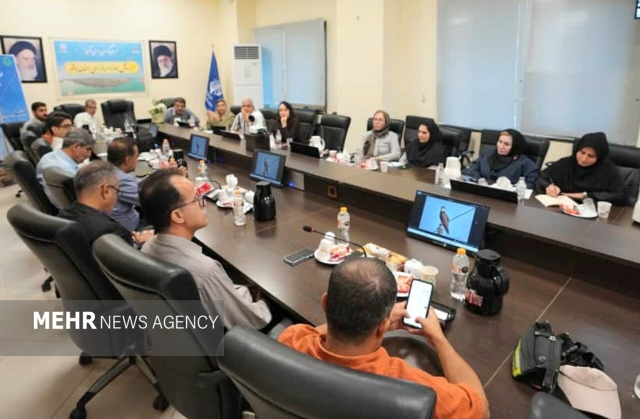 کارگاه «آشنایی با زیست‌بوم دریایی و پرندگان بومی» در بوشهر برگزار شد