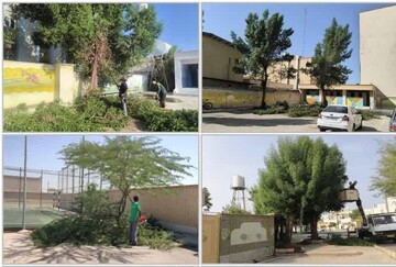 طرح هرس و پاکسازی فضای سبز مدارس بوشهر اجرا شد