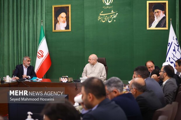 نشست شورای هماهنگی مجلس شورای اسلامی