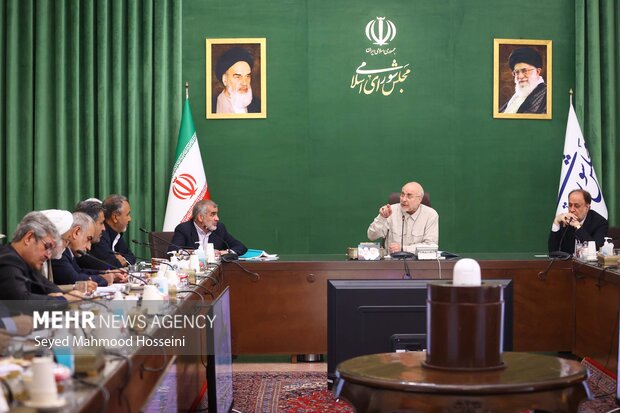 نشست شورای هماهنگی مجلس شورای اسلامی