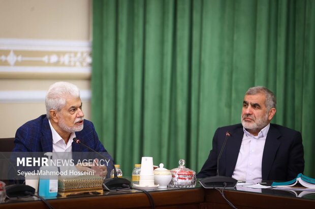 نشست شورای هماهنگی مجلس شورای اسلامی