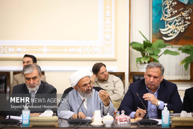 نشست شورای هماهنگی مجلس شورای اسلامی