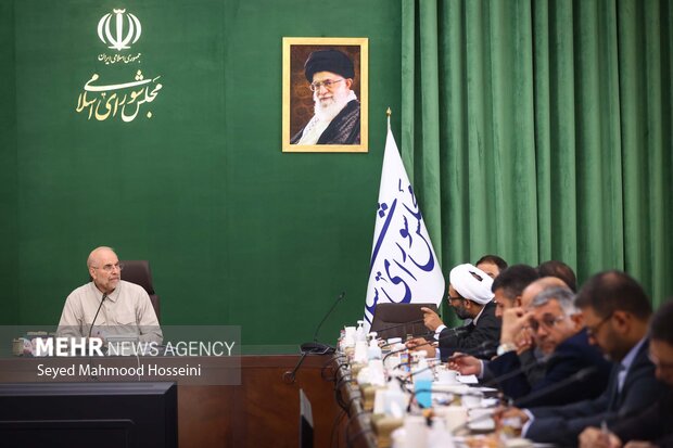 نشست شورای هماهنگی مجلس شورای اسلامی