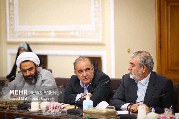 نشست شورای هماهنگی مجلس شورای اسلامی