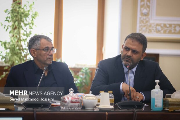 نشست شورای هماهنگی مجلس شورای اسلامی