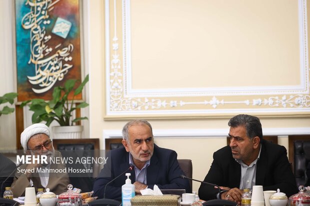 نشست شورای هماهنگی مجلس شورای اسلامی