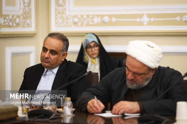 نشست شورای هماهنگی مجلس شورای اسلامی