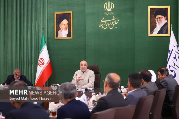 نشست شورای هماهنگی مجلس شورای اسلامی