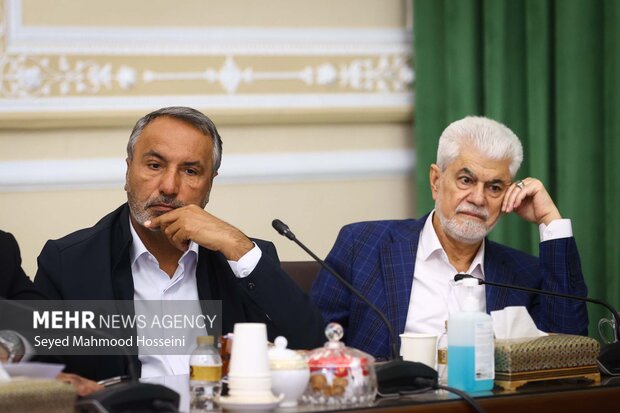نشست شورای هماهنگی مجلس شورای اسلامی