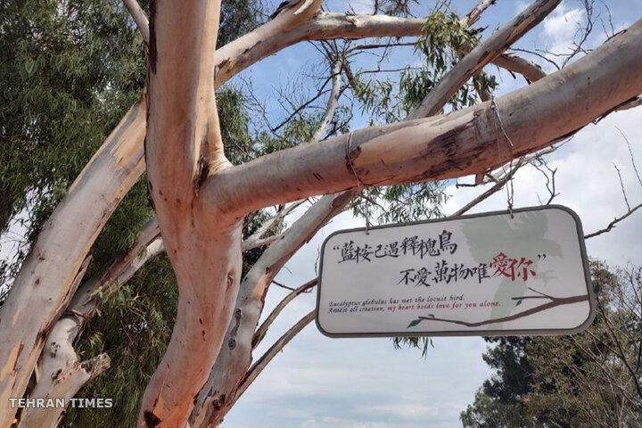 Southwest China; Imperial Plants