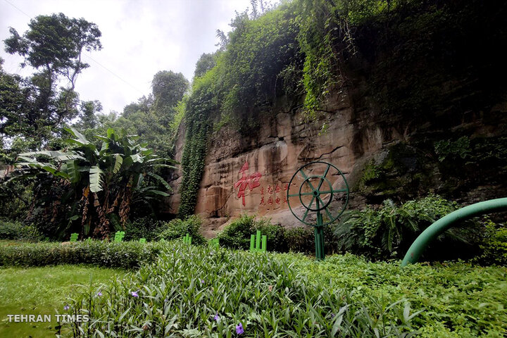 Southwest China; Imperial Plants