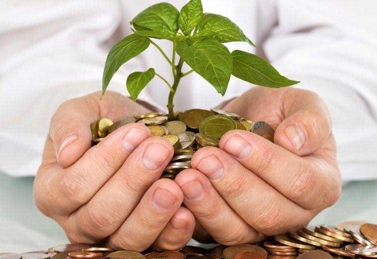 دانشگاه،وقف،رضوي،علوم،علمي،اسلامي،مطالعات