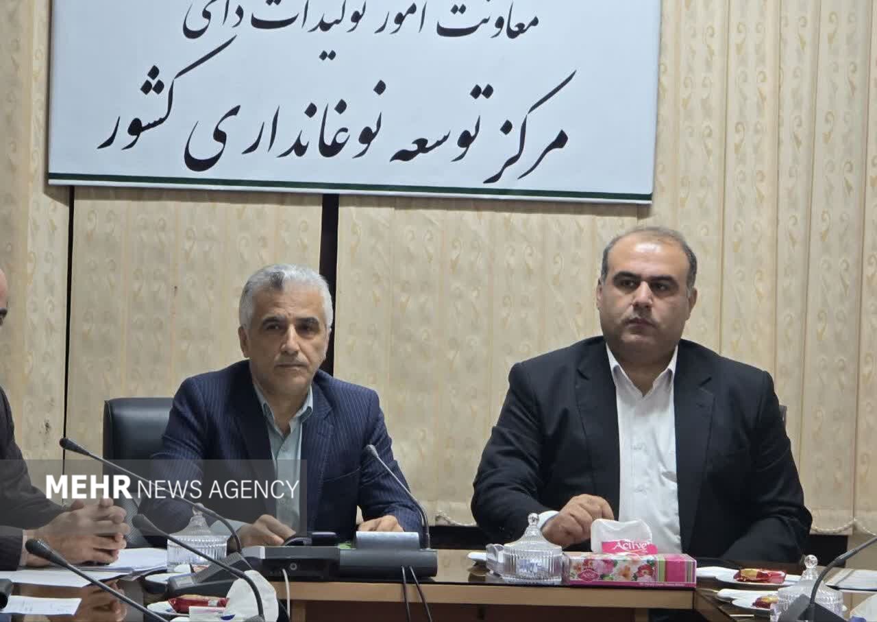 رضادوست: تولید ابریشم گیلان کاهش یافته است رضادوست: تولید ابریشم گیلان کاهش یافته است