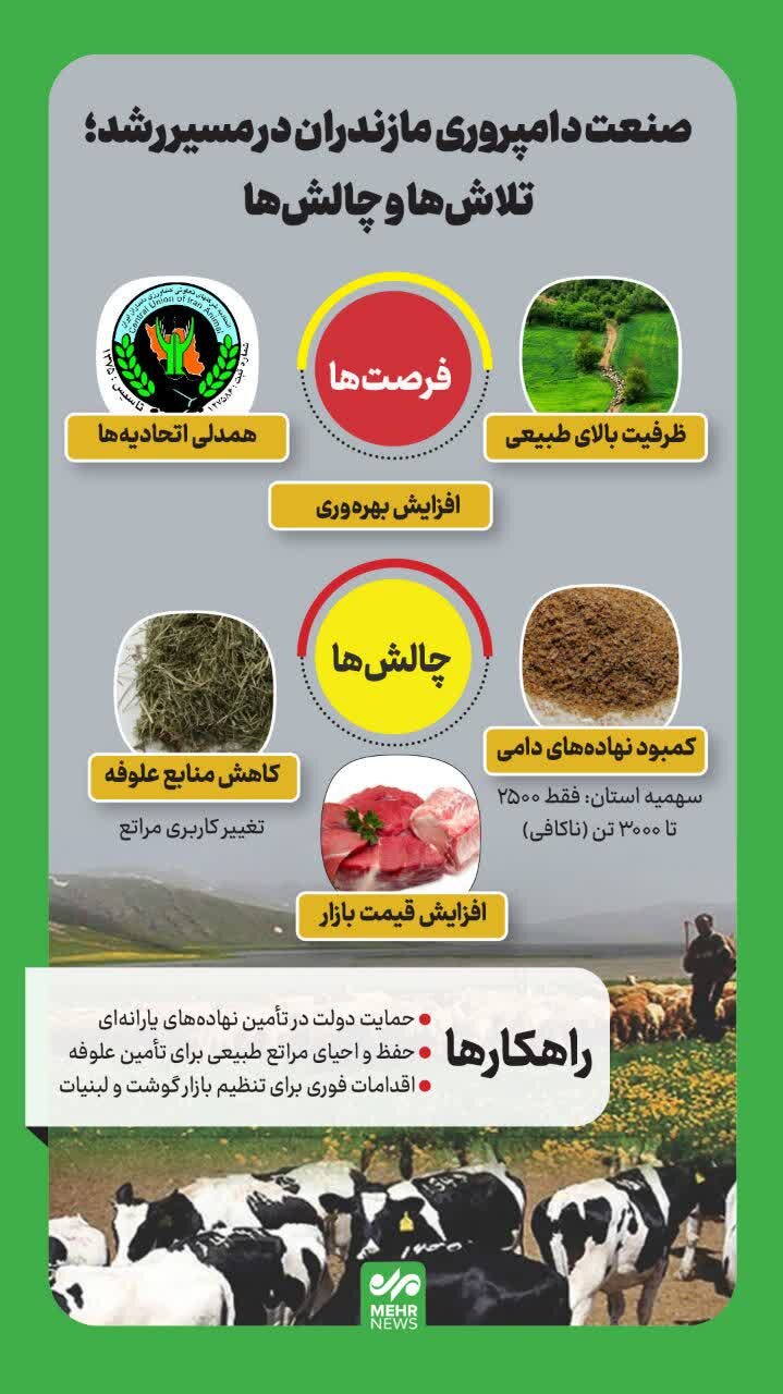 اینفوگرافیک| دامپروری مازندران در مسیر رشد