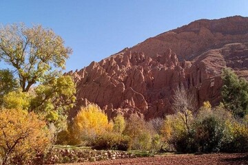 طنین زندگی در «کم‌کی» با نخستین دوقلوزایی میش‌های وحشی