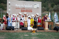 جشنواره پنبه در سرزمین طلای سفید