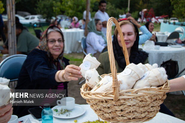 جشنواره پنبه در سرزمین طلای سفید