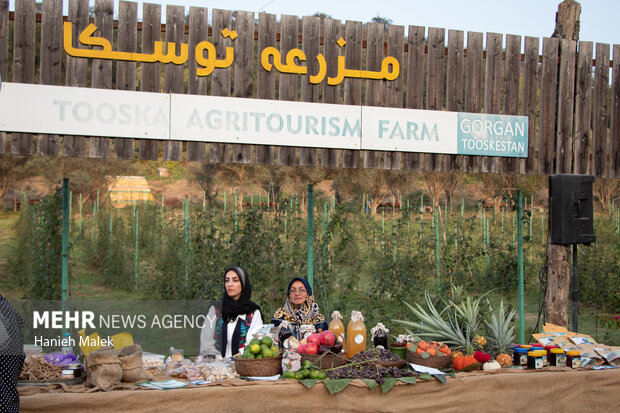 Cotton festival in Gorgan aims to promote tourism
