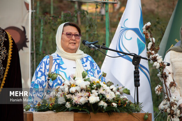 جشنواره پنبه در سرزمین طلای سفید
