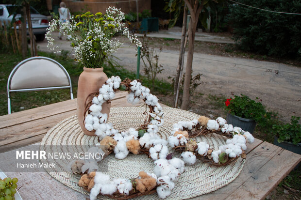 جشنواره پنبه در سرزمین طلای سفید