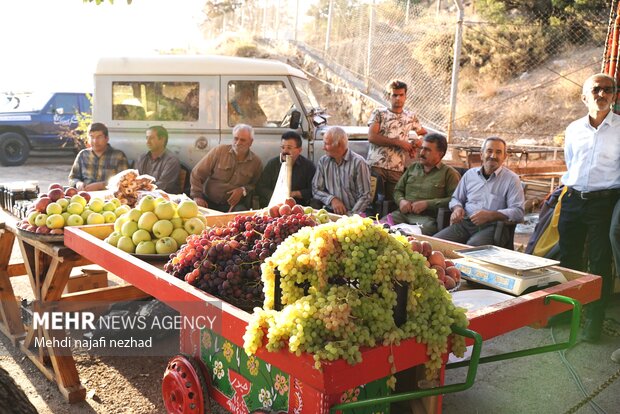 برگزاری جشنواره سیب و انگور در سی سخت با حضور وزیر میراث فرهنگی، صنایع دستی و گردشگری