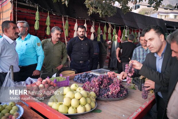 برگزاری جشنواره سیب و انگور در سی سخت با حضور وزیر میراث فرهنگی، صنایع دستی و گردشگری