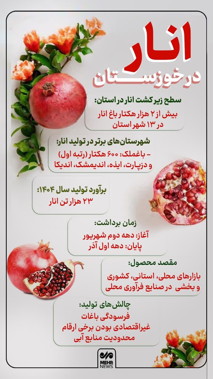 اینفوگرافیک| تولید انار خوزستان در یک نگاه