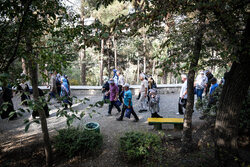 «گامیران» طرحی برای سلامت مردم ایران/پیاده‌روی که برای شما پول می‌آورد