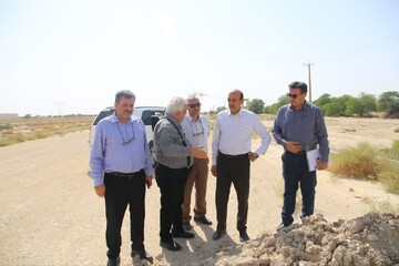 معاون وزیر راه: طرح‌های توسعه پایدار در استان بوشهر اجرا می‌شود