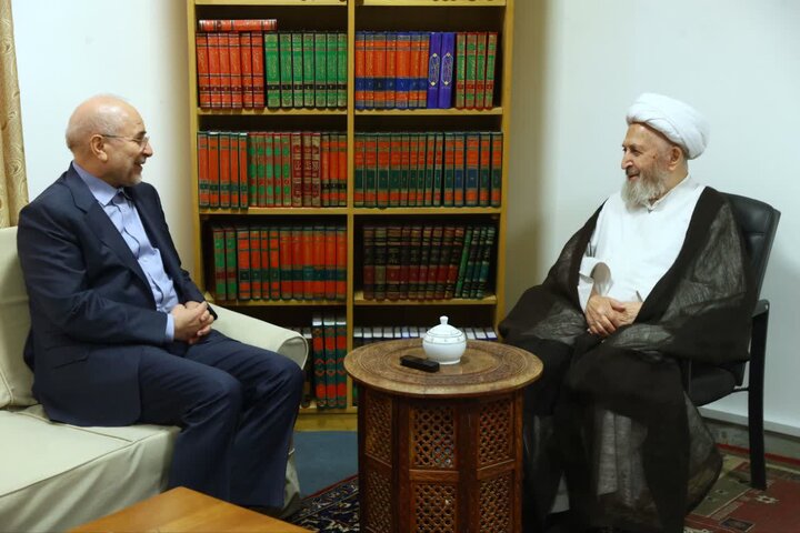 رئیس مجلس شورای اسلامی با آیتالله سبحانی دیدار کرد
