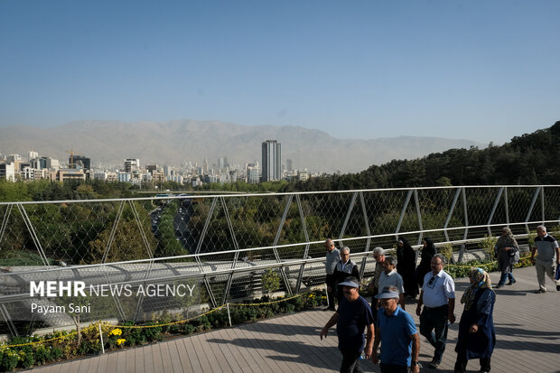 همایش پیاده روی و ورزش همگانی بازنشستگان