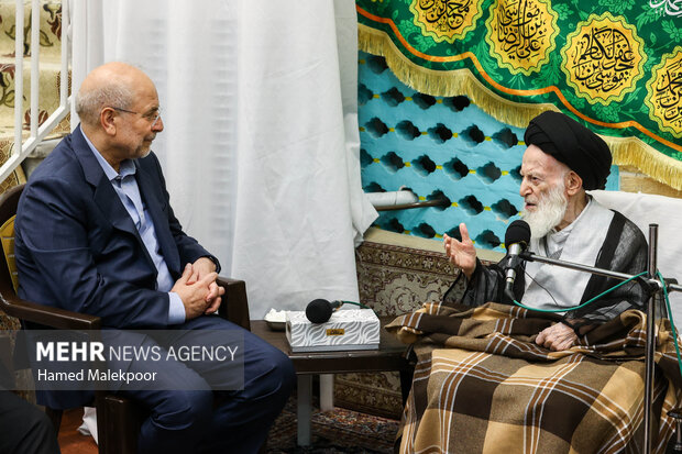 دیدار محمدباقر قالیباف رئیس مجلس شورای اسلامی و آیت‌الله شبیری زنجانی از مراجع عظام تقلید