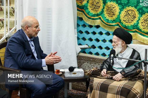 دیدار محمدباقر قالیباف رئیس مجلس شورای اسلامی و آیت‌الله شبیری زنجانی از مراجع عظام تقلید