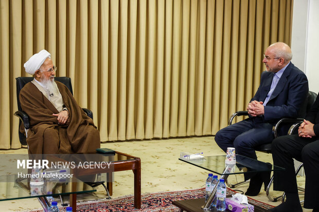 سفر رئیس مجلس شورای اسلامی به قم 43