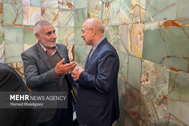 سفر رئیس مجلس شورای اسلامی به قم 48