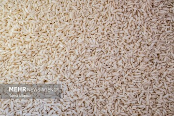 خدایی: ۲۰۰ کیلوگرم برنج سرقتی در مانه و سملقان کشف شد