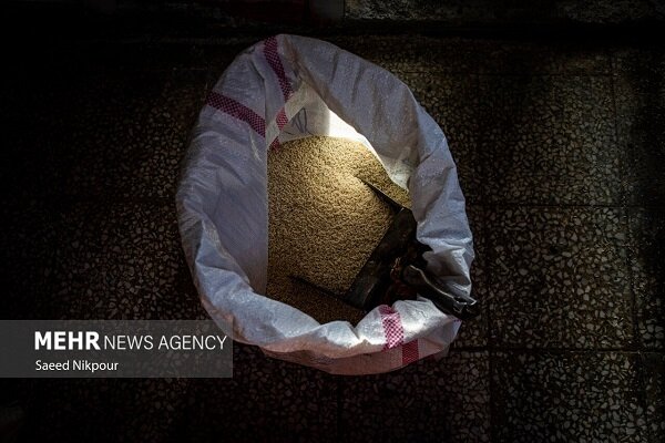 مباشر امینی: ۱۶ تُن برنج قاچاق در آستانه اشرفیه کشف شد مباشر امینی: ۱۶ تُن برنج قاچاق در آستانه اشرفیه کشف شد