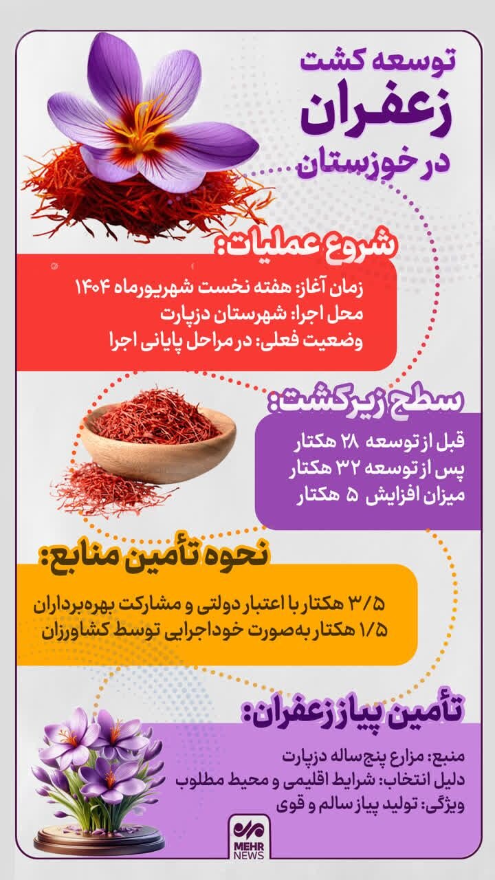 اینفوگرافیک| توسعه کشت زعفران در خوزستان