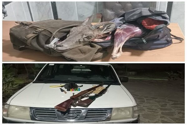 کشف ۶۷ تخلف محیط زیستی در آذربایجان غربی؛ ۱۰۷ متخلف دستگیر شدند کشف ۶۷ تخلف محیط زیستی در آذربایجان غربی؛ ۱۰۷ متخلف دستگیر شدند