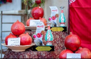 انار ساوه در تنگنا؛ باغداران با امید مقابل چالش‌ها ایستاده‌اند