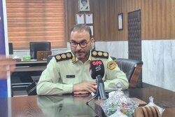 فرمانده انتظامی بهارستان از دستگیری ۱۰۰ حامل سلاح سرد خبر داد