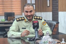 پلیس: دو عامل قدرت‌نمایی در بهارستان دستگیر شدند