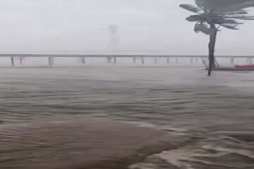 طوفان سهمگین «ماتمو» جنوب چین را درنوردید+فیلم