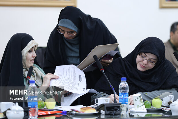 نشست خبری تبیین سند ملی کودک و نوجوان و هفته ملی کودک
