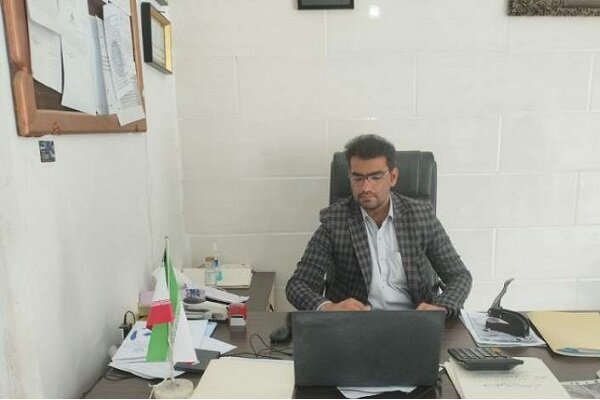 گیاه گون؛ گنجی در دل بلوچستان با فرصت های اقتصادی