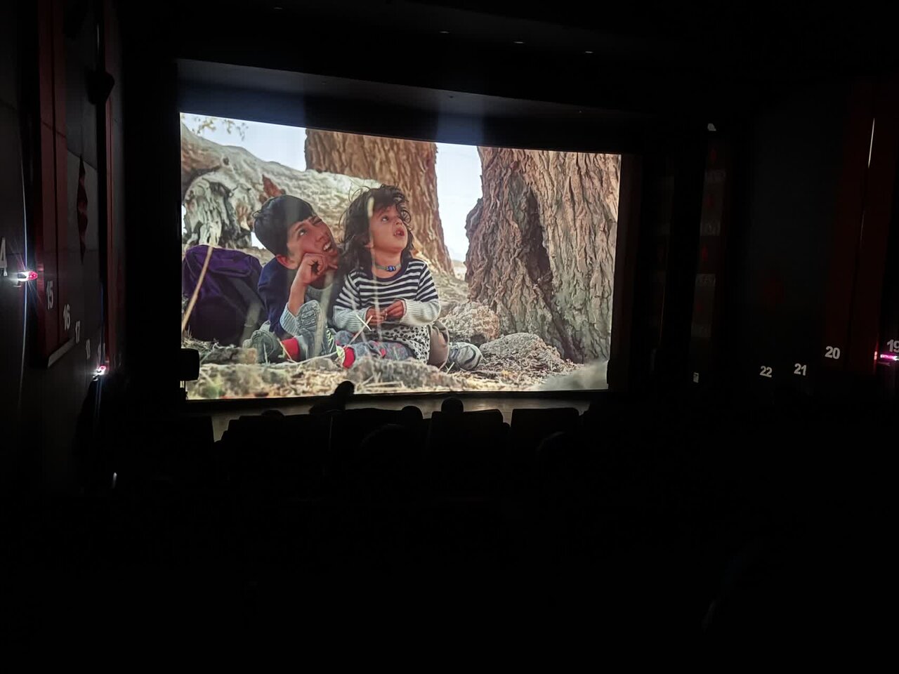 فيلم،جشنواره،سالن،دختران،موي،گرگ،نوجوانان،كودك،آشو،نوجواني،ت ...
