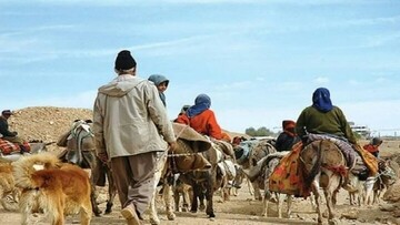 عشایر کوچ‌رو ستون پنهان امنیت غذایی در استان یزد