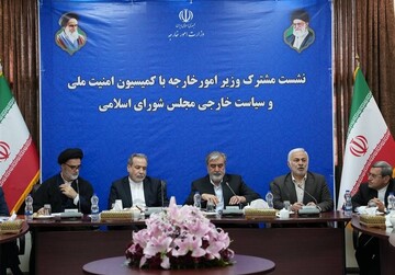 عراقجي يؤكد مواصلة الجهود لحماية حقوق إيران في الاستفادة من الطاقة النووية